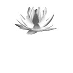 Blue Lotus